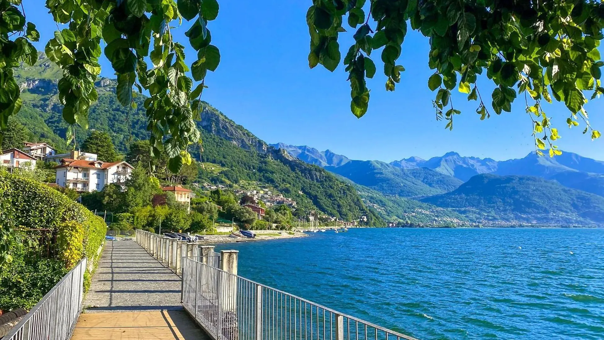 Nido Alla Riva - Falco Ferienwohnung Pianello Del Lario شقة